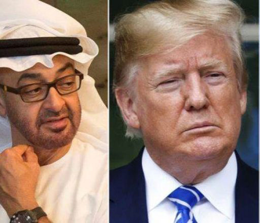 بن زايد يبحث مع ترامب تطورات الأوضاع في المنطقة