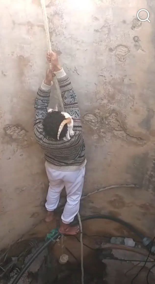فيديو اليوم....  شاب تونسي يخاطر بحياته لإنقاذ قطة سقطت في بئر عميقة ويثير تفاعلا واسعا