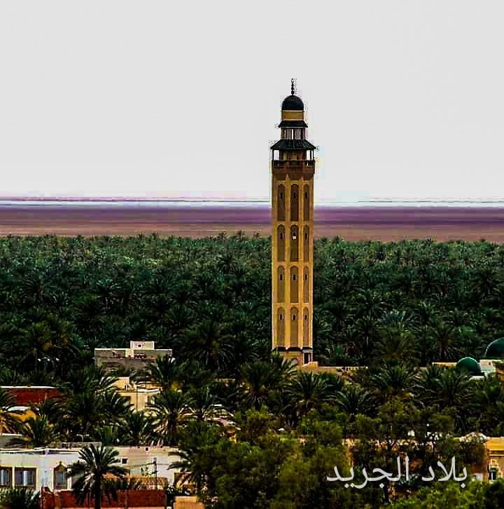 فن العمارة في بلاد الجريد تجسيد لعبقرية الانسان ونموذج لعمارة متأقلمة مع مجالها الطبيعي والجغرافي
