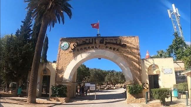 إغلاق منتزه النحلي لصيد الخنزير البري الموجود داخله
