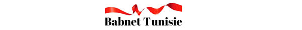 Babnet logo
