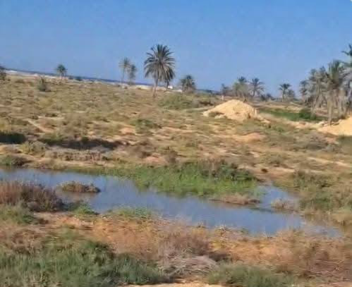 النائب عبد السلام الدحماني يدعو الي المحاسبة اثر وفاة طفل في بركة مياه بالزارات