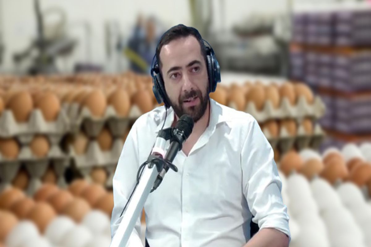 تراجع أسعار البيض يفاقم خسائر المنتجين.. كنفدرالية