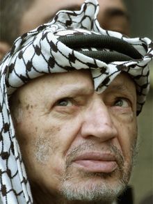 الديلي