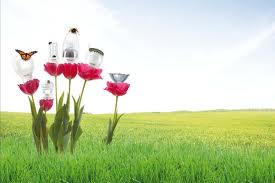 Tunisie: Une économie d'énergie de 5% en 2011