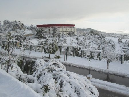 Chute de neige : l'activité socio-économique quasi-paralysée au Kef KEF