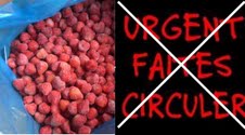 Dr Zoubeir Ben Safta démentit : « le message sur le strawberry quick est un canular»