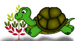 أحمد نجيب الشابي وواجب الأمانة الانتخابية