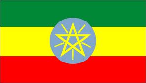 Tunisie-Ethiopie: e Création d'un conseil d'affaires tuniso-éthiopien