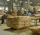 باجة: مشروع مصنع للخشب سيوفر أكثر من 400 موطن شغل