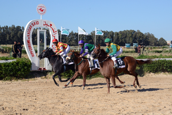 Tunisie: Le Grand Prix du Président de la République remporté par le cheval ''Chareq''