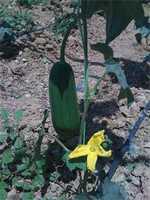 Tunisie: Le groupe 'Loofah Mode' annonce la création de 12 projets industriels dans plusieurs gouvernorats