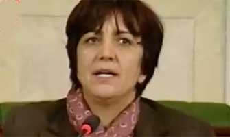 سامية عبو: عديد الفصول في الدستور التونسي تُماثل الدستور الإيراني