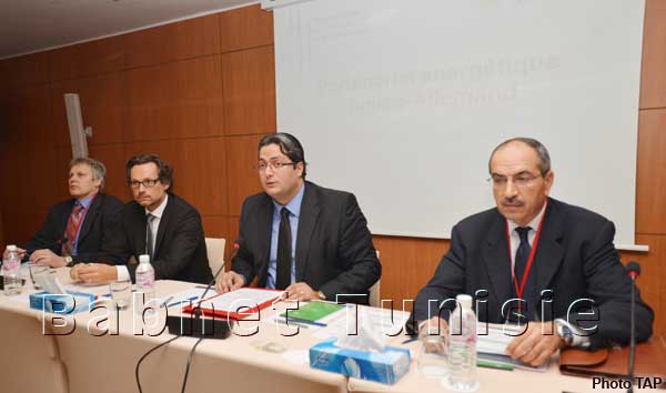 La Tunisie s'apprête à engager une transition énergétique (secrétaire d'Etat chargé de l'énergie)