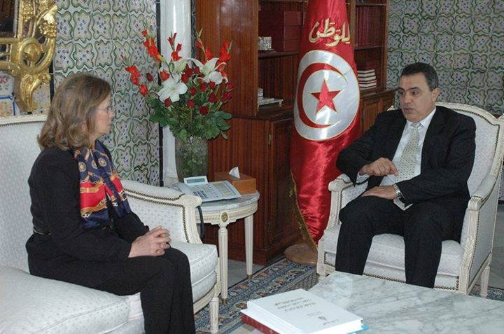 روضة المشيشي: اجتماع المجلس الأعلى للقضاء للمحكمة الادارية للنظر في كل المسائل التي من شأنها أن تساهم في الاستعداد للانتخابات المقبلة